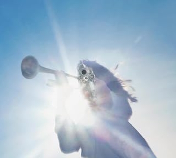 Geese - Poll of Polls 2025