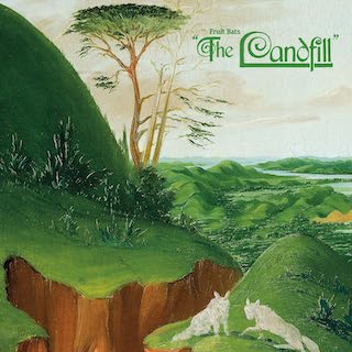 The Landfill
