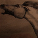 Mare
