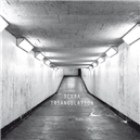 Triangulation