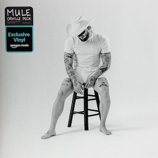 Mule